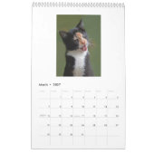 Katzen 2014 - Ein Kalender für Katzen-Liebhaber (Mär 2027)