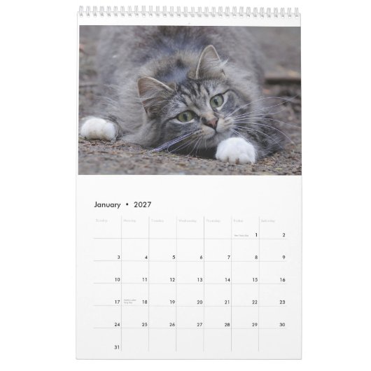Katzen 2014 - Ein Kalender für Katzen-Liebhaber (Jan 2027)