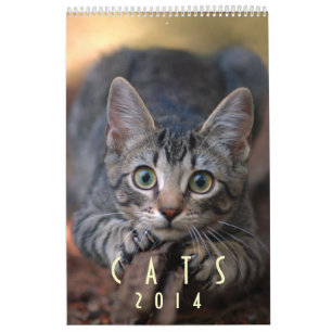 Katzen 2014 - Ein Kalender für Katzen-Liebhaber