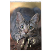 Katzen 2014 - Ein Kalender für Katzen-Liebhaber (Titelbild)
