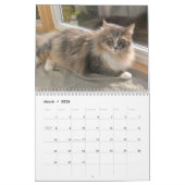 Katzen 2015 Marlowe, Peepers u. Gryphon Kalender (Mär 2026)
