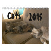 Katzen 2015 Marlowe, Peepers u. Gryphon Kalender (Titelbild)