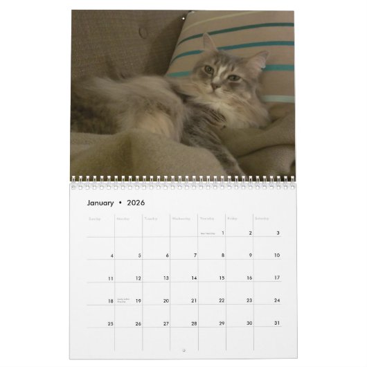 Katzen 2015 Marlowe, Peepers u. Gryphon Kalender (Jan 2026)