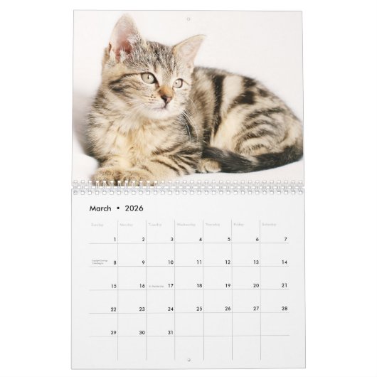 Katzen 2017 kalender (Mär 2026)