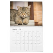 Katzen 2017 kalender (Feb 2026)