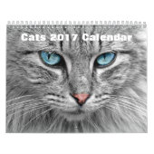 Katzen 2017 kalender (Titelbild)