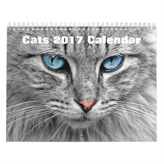Katzen 2017 kalender (Titelbild)