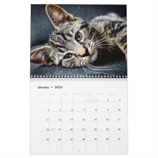 Katzen 2017 kalender (Jan 2026)