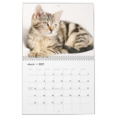 Katzen 2017 kalender (Mär 2027)