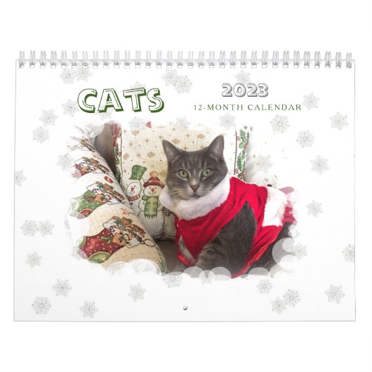 Katzen 2023 Kalender (Titelbild)
