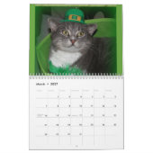 Katzen 2023 Kalender (Mär 2027)