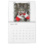 Katzen 2023 Kalender (Jan 2027)