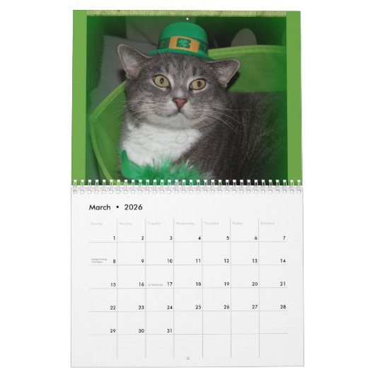 Katzen 2024 Kalender (Mär 2026)