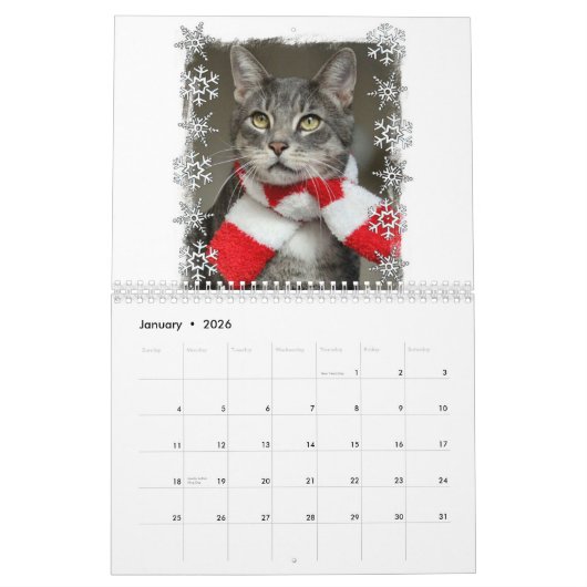 Katzen 2024 Kalender (Jan 2026)