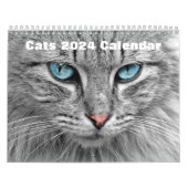 Katzen 2024 kalender (Titelbild)