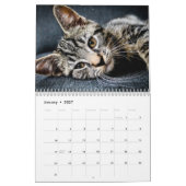 Katzen 2024 kalender (Jan 2027)