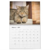 Katzen 2024 kalender (Feb 2027)