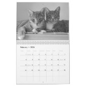 Katzen 2024 Kalender (Feb 2026)