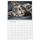 Katzen 2025 kalender (Jan 2026)