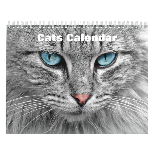 Katzen 2025 kalender (Titelbild)