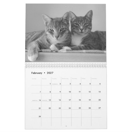 Katzen 2025 Kalender (Feb 2027)