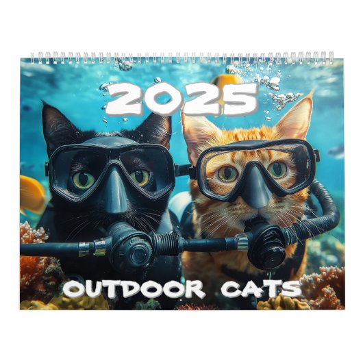 Katzen 2025 kalender (Titelbild)