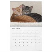 Katzen 2026 Foto-Kalender Kalender (Mär 2027)