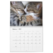 Katzen 2026 Foto-Kalender Kalender (Feb 2027)