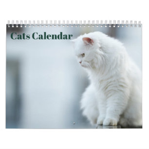 Katzen 2027 kalender