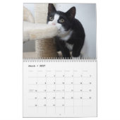 Katzen 2027 kalender (Mär 2027)