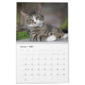 Katzen 2027 kalender (Jan 2027)