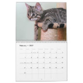 Katzen 2027 kalender (Feb 2027)
