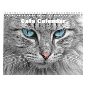 Katzen 2027 kalender