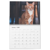Katzen 2027 Kalender (Jan 2027)