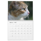 Katzen 2027 Kalender (Feb 2027)