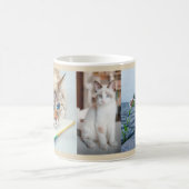 Katzen 3 Benutzerdefinierte Fotos Niedliche Kitty  Kaffeetasse (Mittel)