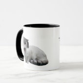 Katzen-Abschluss-Tasse Tasse (Vorderseite Links)