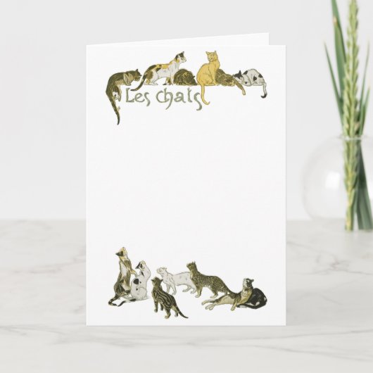 Katzen, Alexandre Steinlen Karte (Vorderseite)