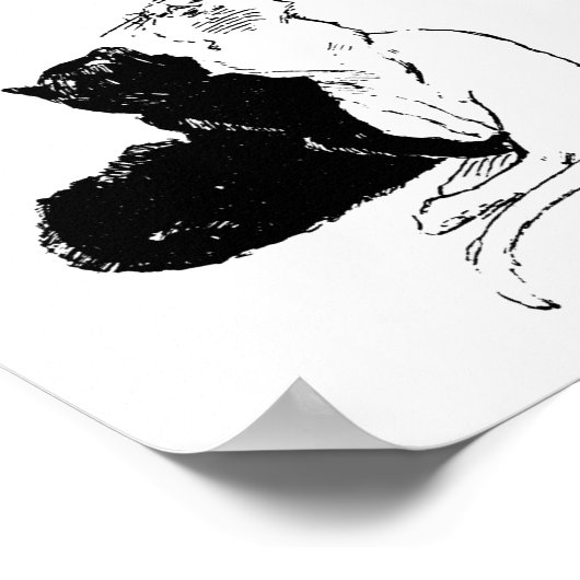 Katzen, Alexandre Steinlen Poster (Ecke)