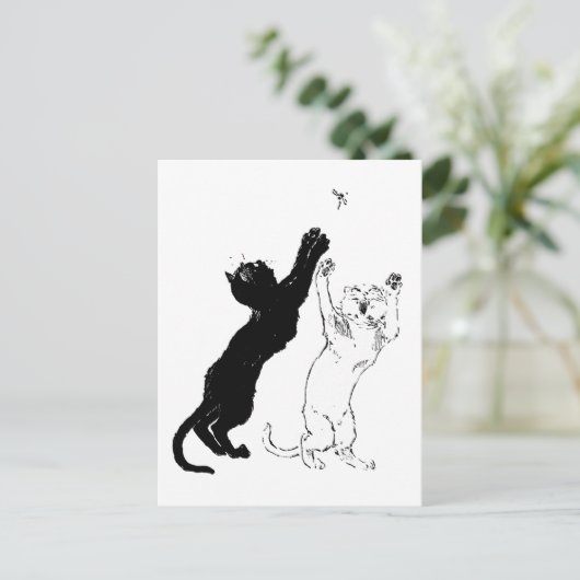 Katzen, Alexandre Steinlen Postkarte (Stehend Vorderseite)