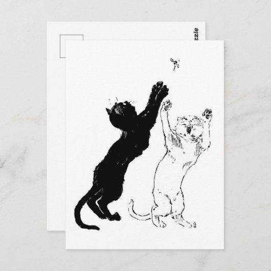 Katzen, Alexandre Steinlen Postkarte (Vorne/Hinten)