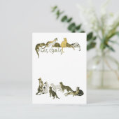 Katzen, Alexandre Steinlen Postkarte (Stehend Vorderseite)
