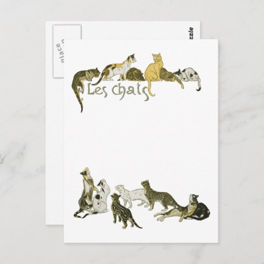 Katzen, Alexandre Steinlen Postkarte (Vorne/Hinten)