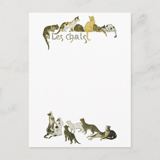 Katzen, Alexandre Steinlen Postkarte (Vorderseite)