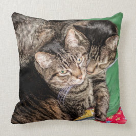 Katzen - Alltag - Urlaub - Weihnachten Kissen