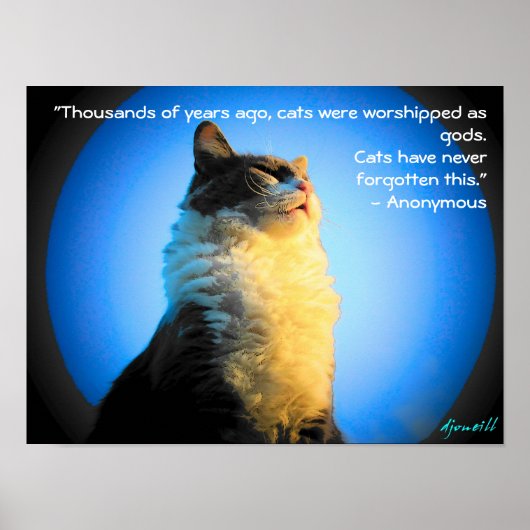 Katzen als Götter geworben - mit anonymem Zitat Poster (Vorne)