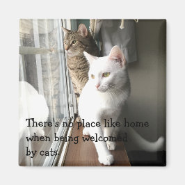 Katzen am Fenster Magnet