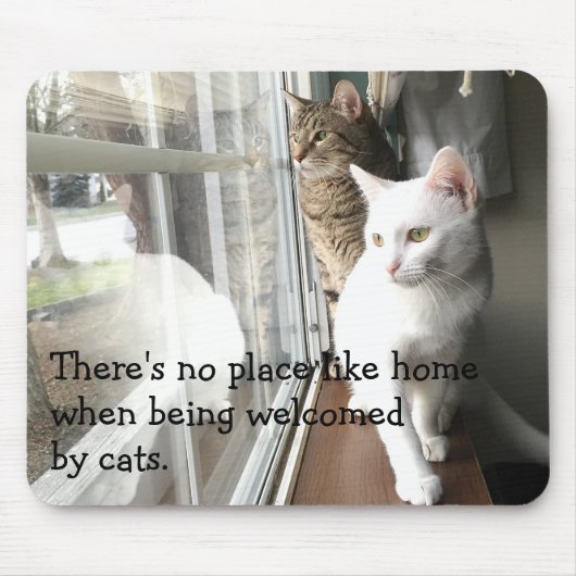 Katzen am Fenster Mousepad (Vorne)
