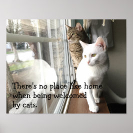 Katzen am Fenster Poster