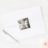 Katzen am Fenster Quadratischer Aufkleber (Umschlag)